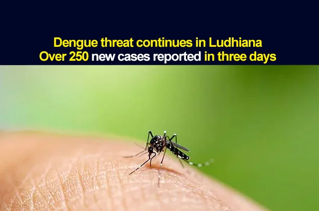 DENGUE-CASES-LUDHIANA-2