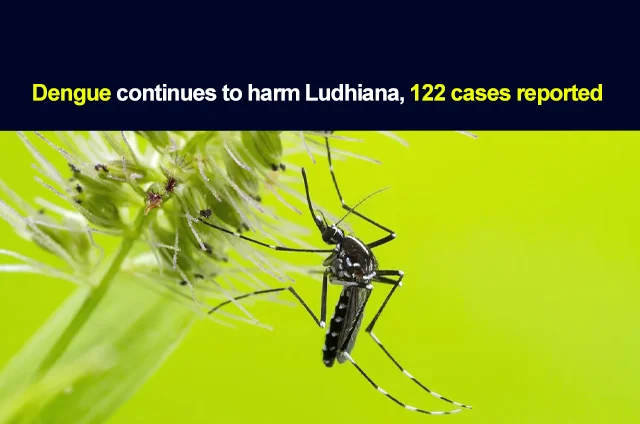 DENGUE-IN-LUDHIANA-1