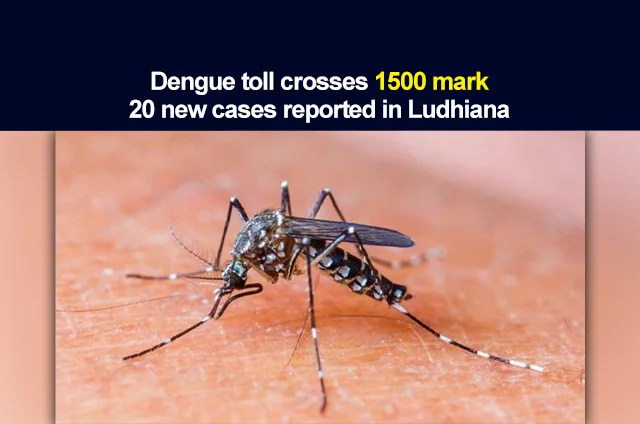 DENGUE-CASES-IN-LUDHIANA