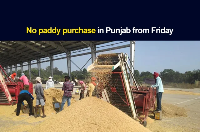 PADDY-PROCUREMENT-IN-PUNJAB