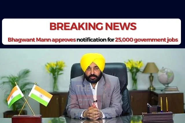 BHAGWANT MANN EMPLOYMENT DECISION